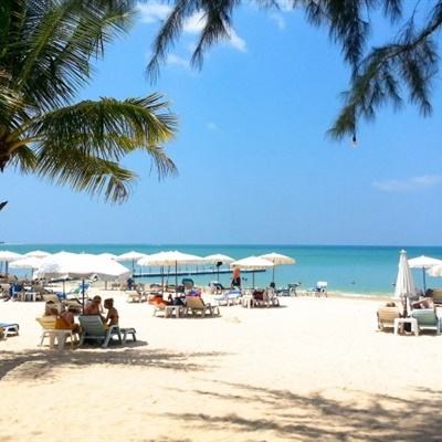 电玩舞会森林手机app下载